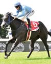 Thrilling end to Highveld season63