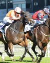 Tarry, Zackey star in Finale Tarry, Zackey star in Finale47