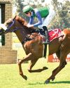 De Kock momentum to continue48