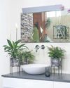 Get bathroom jungle thriving Get bathroom jungle thriving35