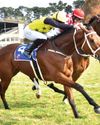 Bellerophon to slay his Turffontein rivals Bellerophon to slay his Turffontein rivals69