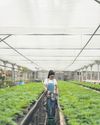 Plant a winter patio garden Plant a winter patio garden35