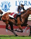 Legal Counsel tops July weights Legal Counsel tops July weights54