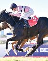 Star Major out of Durban July Star Major out of Durban July50