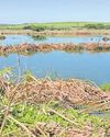 How private landowners help to conserve our wetlands18