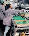 Securing Africa's energy future starts at home: finding a local solution to a global challenge33