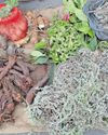 New regulations aim to formalise traditional practices in SA6