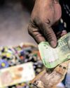 The bitter pill? VAT hike's threat to South Africa's agricultural heart and food security32