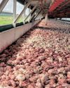 Daybreak Foods seeks PIC approval for business rescue as financial crisis escalates28