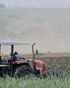 Rethinking the sugar tax in the time of global uncertainty: focus should be on jobs and the economy26