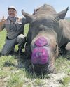 ‘It’s not vets alone who are saving rhinos’18