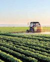 Farmer brain drain could be worse than export loss for SA agriculture25
