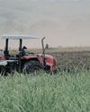 Most South African farmers are black: why Trump got it so wrong36
