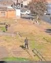 Westbury residents attack members of the Anti-Gang Unit5