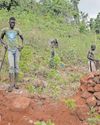 Villagers step up to halt deforestation in Sierra Leone20