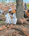 Tragic reality of farmers in India23