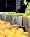 Economic downturn signs emerge as South Africa's PMI drops to 50.150