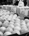 US tariffs will test South Africa's economic resilience33