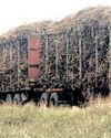 SA sugar industry set for improved harvest; yet tariff uncertainty threatens the sector's future27