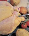 SA cannot afford any more delays to Brazil poultry imports by vet inspectors at the border32