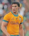 Fearless Wallabies ready for Bok blowback after Ellis Park win47