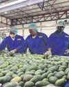 South-South ties hold key amid tariffs24
