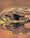 Gold glitters for Zimbabwean luxury crocodile skins supplier, Padenga45