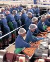 Tiger Brands finalises sale of Langeberg and Ashton Foods, safeguarding 3 000 jobs50