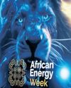 SA facing oil and gas challenges amid surge in global Africa investment41