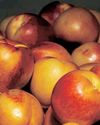 Stone fruit industry set for major boost as China trade deal sealed34
