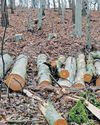 Chemical plants in Germany bet on biomass Chemical plants in Germany bet on biomass18