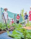 How South Africans are adapting with innovative solutions as service delivery falters22