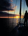 Navigating Al landscapes: Why adaptability beats prediction Navigating Al landscapes: Why adaptability beats prediction38