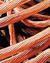 South Oceans' 86 percent slide in profit attributed to rising “dumped” price imports38