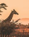 Tourism sector upbeat for Easter despite looming fuel price surge30