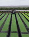 How Middle Eastern conflict is driving up fertilizer costs and food prices in SA24