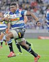 Stormers first, Springboks later as Mchunu eyes home play-off Stormers first, Springboks later as Mchunu eyes home play-off31