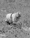 Equal access to jobs still evades rural youth Equal access to jobs still evades rural youth14
