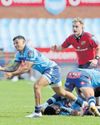 Loss of two Springboks could force coach's hand41