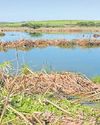 How private landowners conserve our wetlands How private landowners conserve our wetlands23