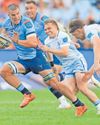 White: Not about bonus points as Bulls embrace knockout rugby19