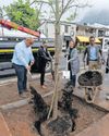 Cape Argus