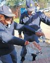 Cape Argus