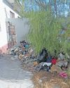 Cape Argus