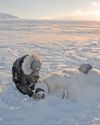 The eye-opening science of encounters with polar bears20