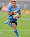 Boks muscle returns as Stormers hunt French scalps in Champions Cup opener Boks muscle returns as Stormers hunt French scalps in Champions Cup opener33