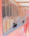 City defends spaza shop shutdowns6