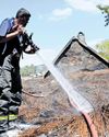 Cape Argus