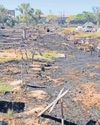 Maitland Cemetery fire leaves crosses untouched9