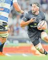 Pietersen challenge sparks Sharks' Stormers shock31
